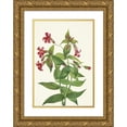 thumbnail image 1 of Mary Vaux Walcott 14x18 Gold Ornate Wood Frame and Double Matted Museum Art Print Titled - Lewis Monkeyflower. Mimulus Lewisii (1925), 1 of 4
