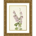 thumbnail image 1 of Mary Vaux Walcott 14x18 Gold Ornate Wood Frame and Double Matted Museum Art Print Titled - Orange-Eye Globemallow. Sphaeralcea Davidsonii (1925), 1 of 4
