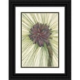thumbnail image 1 of Mary Vaux Walcott 18x24 Black Ornate Framed Double Matted Museum Art Print Titled: Longleaf Pine. Pinus Palustris (1925), 1 of 5