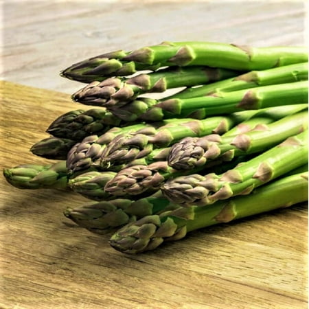 Mary Washington Asparagus Seeds - 200 Count Seed Pack - A semi-Hardy Perennial Garden Favorite with Excellent Flavor - Country Creek LLC
