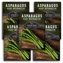 Straightneck Summer Squash Vegetable Seeds (5 Pack) - Full Sun Annual ...