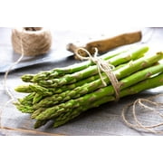 Mary Washington Live Asparagus Bare Root Plants - 2yr Crowns - (5 Crowns) Can Not Ship to California