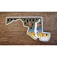 thumbnail image 1 of Maryland Brown Trout Skin Sticker Decal, 1 of 1