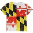 thumbnail image 1 of Maryland Vintage Distressed State Flag All Over Youth T Shirt Multi YXL, 1 of 2