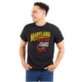 thumbnail image 1 of Maryland We've Got Crabs Hilarious Plus Size Crewneck Graphic Tee Shirt Brisco Brands 2X, 1 of 4