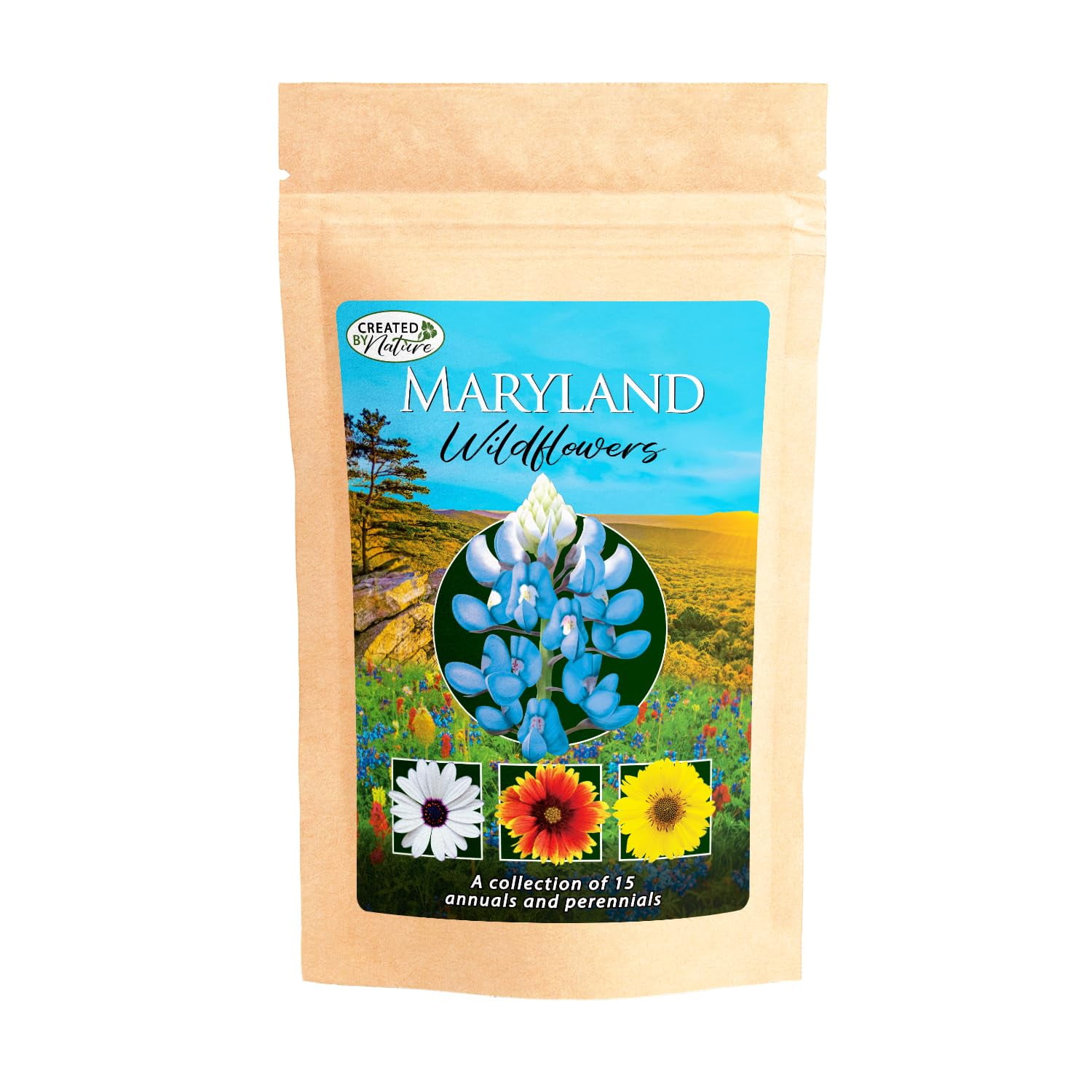 Maryland Wildflower Seed Mix, Covers 325 MVR1&nbsp;Sq Ft, 15 Flower Varieties, Over 50,000 Seeds, Created By Nature