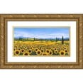 thumbnail image 1 of Marzari, Tebo 32x18 Gold Ornate Wood Framed with Double Matting Museum Art Print Titled - Girasoli, 1 of 4