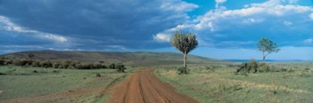 Masai Mara Game Reserve Kenya Canvas Art - Panoramic Images (36 x 12)