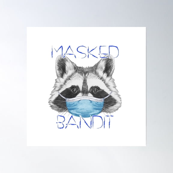 Masked Bandit Poster Wall Art, Modern Wall Decor, 16x16 UNFRAMED