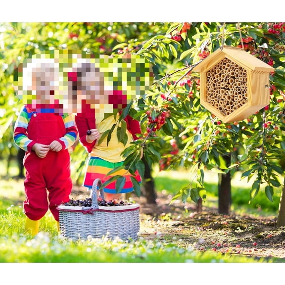Mason Bee House Native Bee Hive Hexagon Bee House Handmade Wooden Mason Bee Box Habitat Home Hotel with Tubes -Attracts Peaceful Bee Pollinators to Enhance Your Garden's Productivity$$
