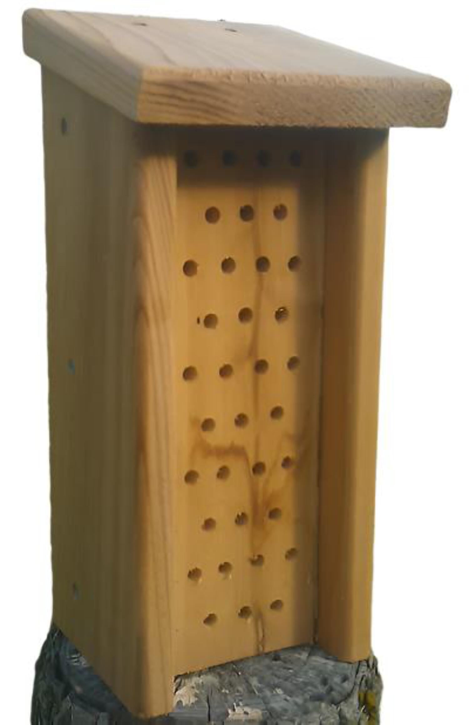 Mason Bee House (Slanted Roof), 13