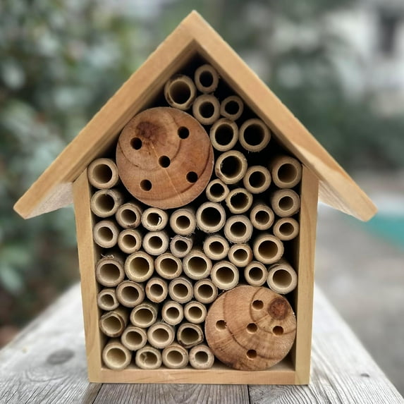 Mason Bee Houses Outdoor Wooden Bee Hotel for Garden and Yard Hand-Made Bamboo Bee Hive for Bees Butterflies and Ladybugs, Medium Size 8"x7.5"x5", Natural Finish