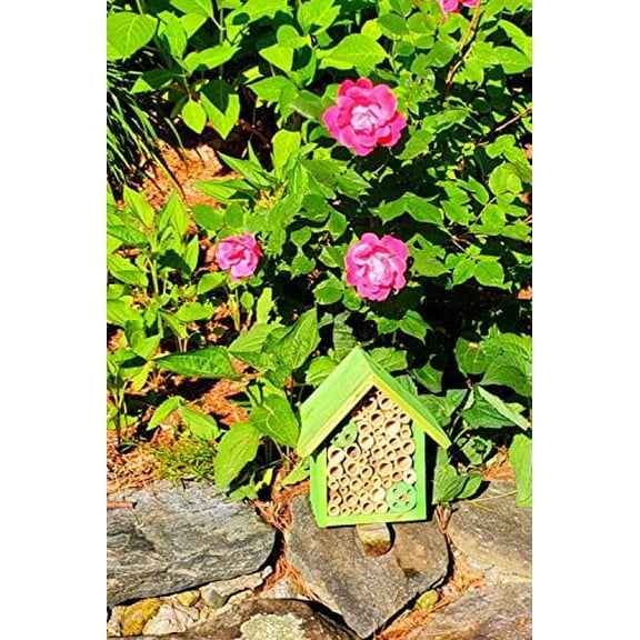 Mason Bee Houses and Supplies : Bamboo Tube Bee Hotel for Solitary Bees - Attract More Gentle Pollinating Bees to Your Garden by Providing Them with a Safe Bee Home Made from FSC Certified Wood