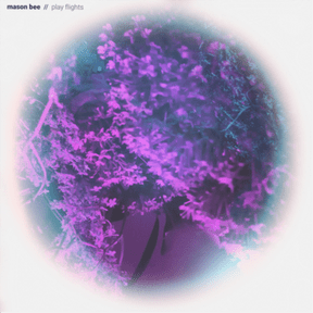 Mason Bee Play Flights (Vinyl Record) 12" Album