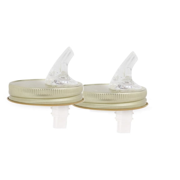 Mason Jar Pouring Spout Regular Jar Size 2 Pack (With flipper)