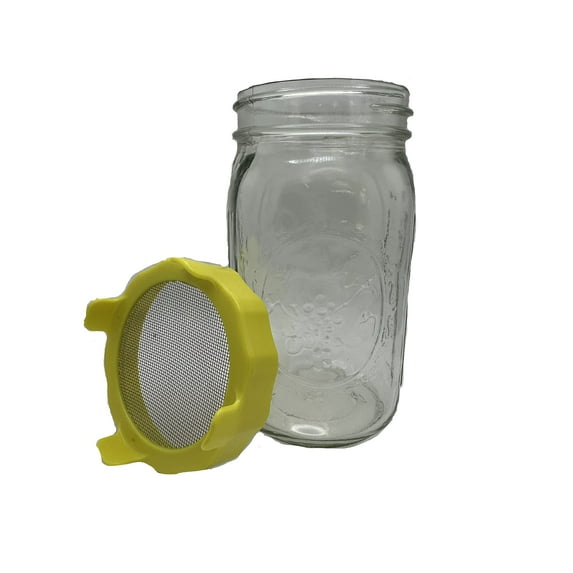 Mason Jar with Screen Lid - Glass Jar for Planting Microgreens (2 Sprouting Jars)