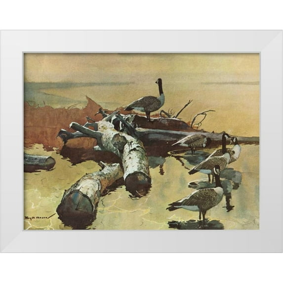 Mason, Roy M. 14x12 White Modern Wood Framed Museum Art Print Titled - Geese on the Great Flyway