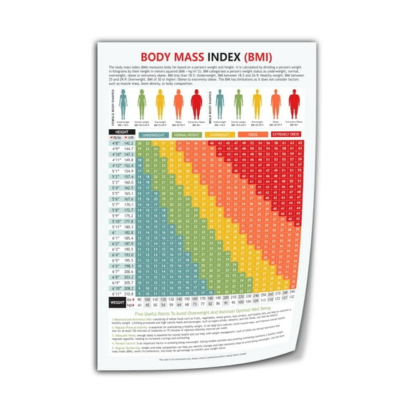Mass Index Chart Bmi of Man And Woman Height And Weight Poster Canvas Print Wall Art Decor Living Room Office Bedroom