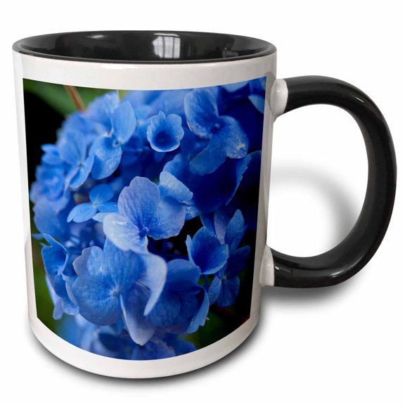 3drose, Massachusetts, Blue Mophead Hydrangea Flower - Us22 Jen0065 - Jim Engelbrecht, 15oz Two-tone Black Mug