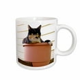 thumbnail image 1 of 3drose, Massachusetts, Greenfield. Calico Cat - Us22 Spe0547 - Susan Pease, 11oz Mug, 1 of 6