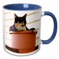 thumbnail image 1 of 3drose, Massachusetts, Greenfield. Calico Cat - Us22 Spe0547 - Susan Pease, 11oz Two-tone Blue Mug, 1 of 6