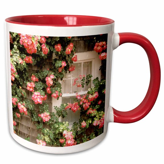 3drose, Massachusetts, Nantucket Island, Roses and Home - Us22 Wbi0116 - Walter Bibikow, 11oz Two-tone Red Mug