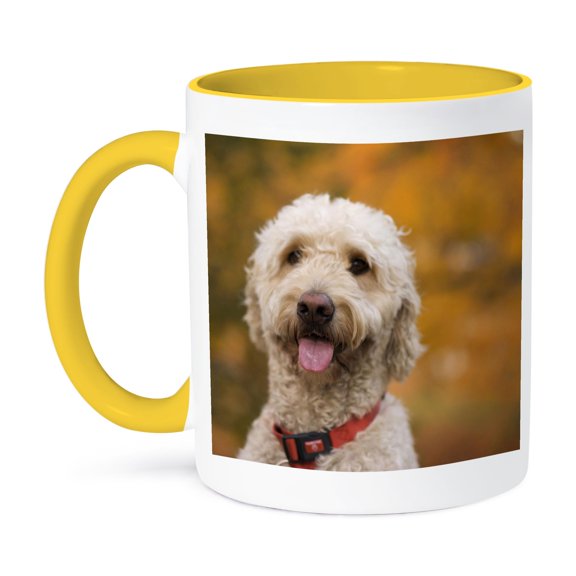 3dRose, Massachusetts, Reading, Labradoodle dog - US22 JEN0072 - Jim Engelbrecht, 15oz Two-Tone Yellow Mug