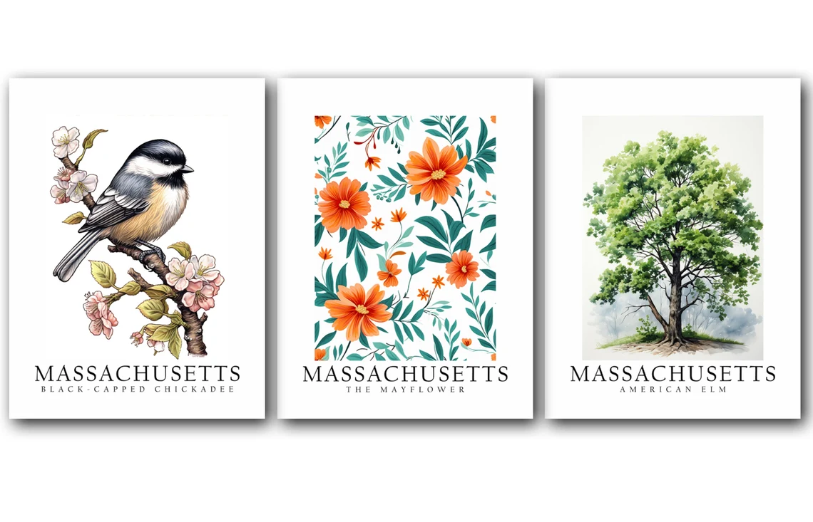 Massachusetts State Bird Black-Capped Chickadee, State Tree American ...