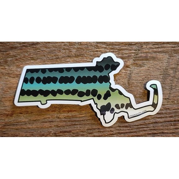 Massachusetts Striper Skin Sticker Decal