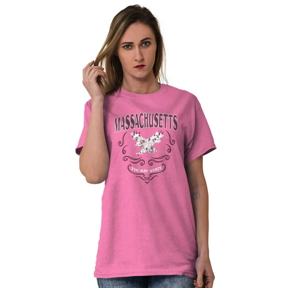 Massachusetts The Bay State Pride MA Women's Plus Size Graphic Tee Brisco Brands 3X