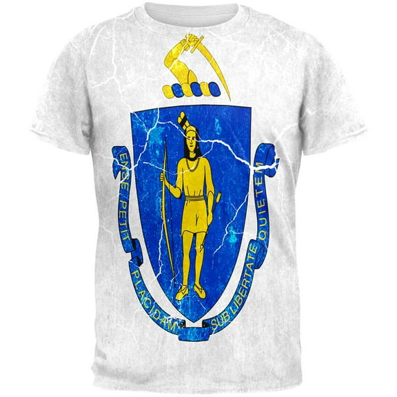 Massachusetts Vintage Distressed State Flag All Over Mens T Shirt Multi MD