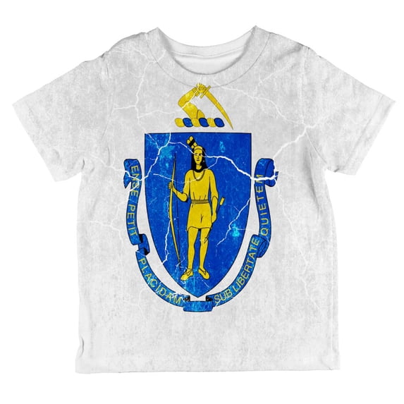 Massachusetts Vintage Distressed State Flag All Over Toddler T Shirt Multi 4T