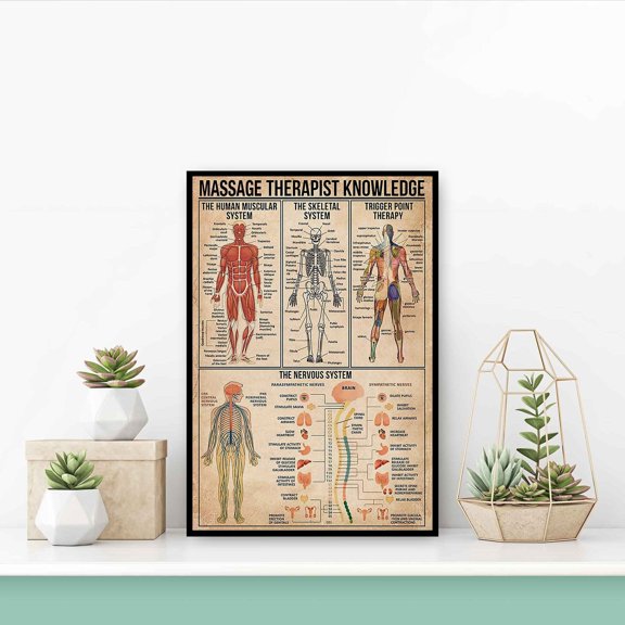 Massage Therapist Knowledge Poster The Skeletal System Chart The Human Muscular System The Nervous System Trigger Point Therapy Art