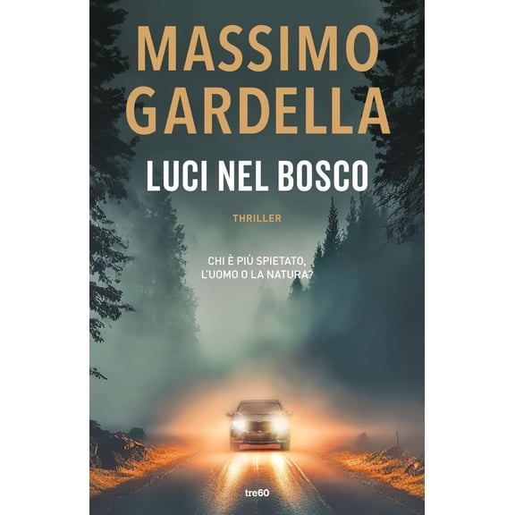 Massimo Gardella Luci nel bosco (Paperback)