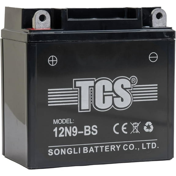 Massimo Mini 125 Go Kart Top Post Battery for 2024 and newer models.