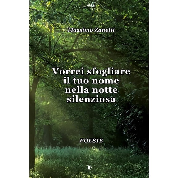 Massimo Zanetti Vorrei sfogliare il tuo nome nella notte silenziosa (Paperback)