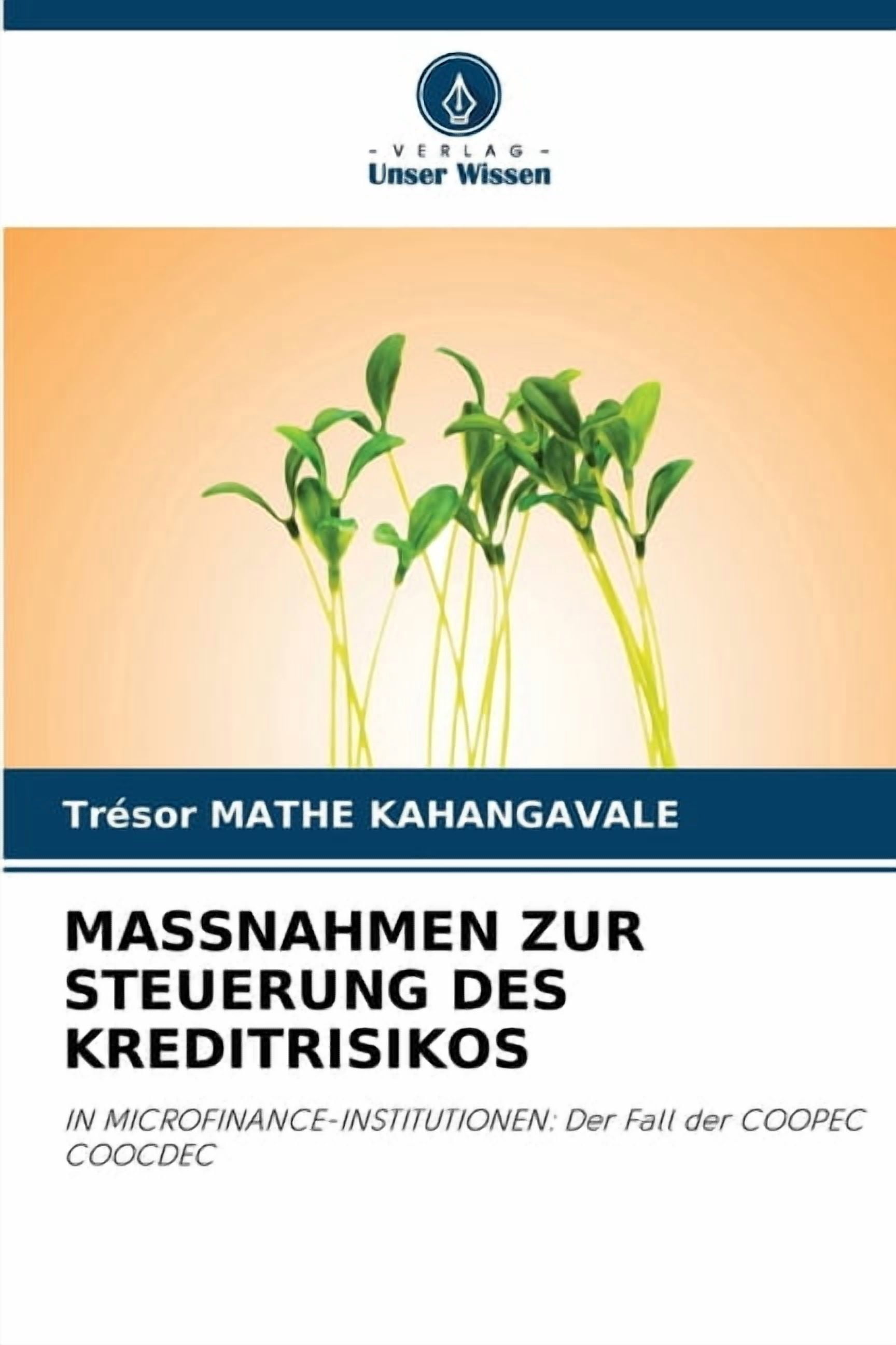 Massnahmen Zur Steuerung Des Kreditrisikos, (Paperback)