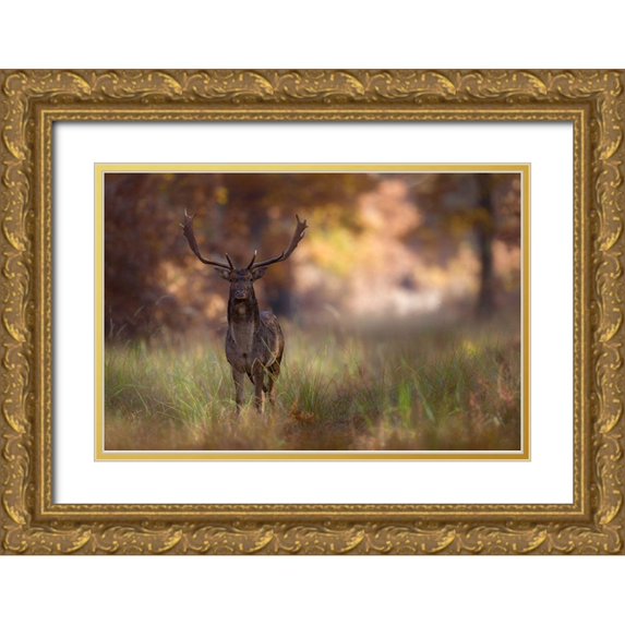 Mastahac 24x17 Gold Ornate Wood Framed with Double Matting Museum Art Print Titled - Posing