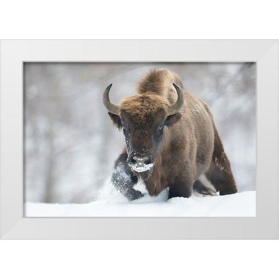 Mastahac, Sebastian 14x11 White Modern Wood Framed Museum Art Print Titled - Rewilded