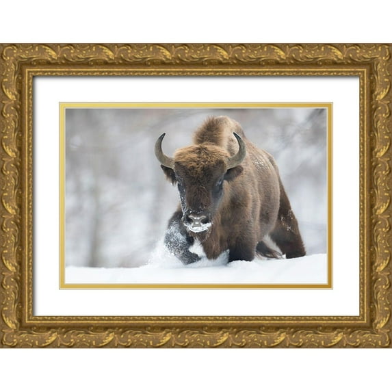 Mastahac, Sebastian 18x13 Gold Ornate Wood Framed with Double Matting Museum Art Print Titled - Rewilded