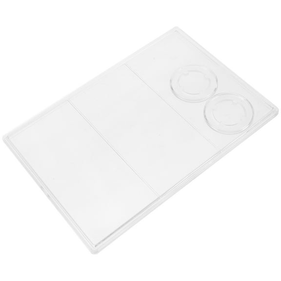 Masteelf 1 Set Commemorative Coin Display Case Coins Box Banknotes Box Coin Holder Paper Money Case Bill Holders Snake Banknote Protector for Collection