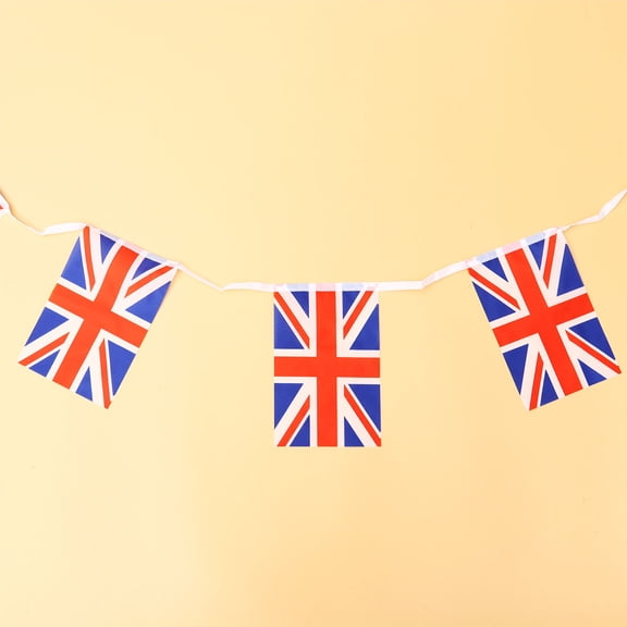 OFFIGAM Carnival Party Decorative String Flags, Polyester Material, 1 Set, 394 x 8.3 x 0.04 Inches, Colorful Festival Banner