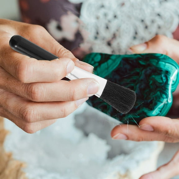 Masteelf 10 PCS Computer Duster Screen Cleaning Brush Camera Lens Black