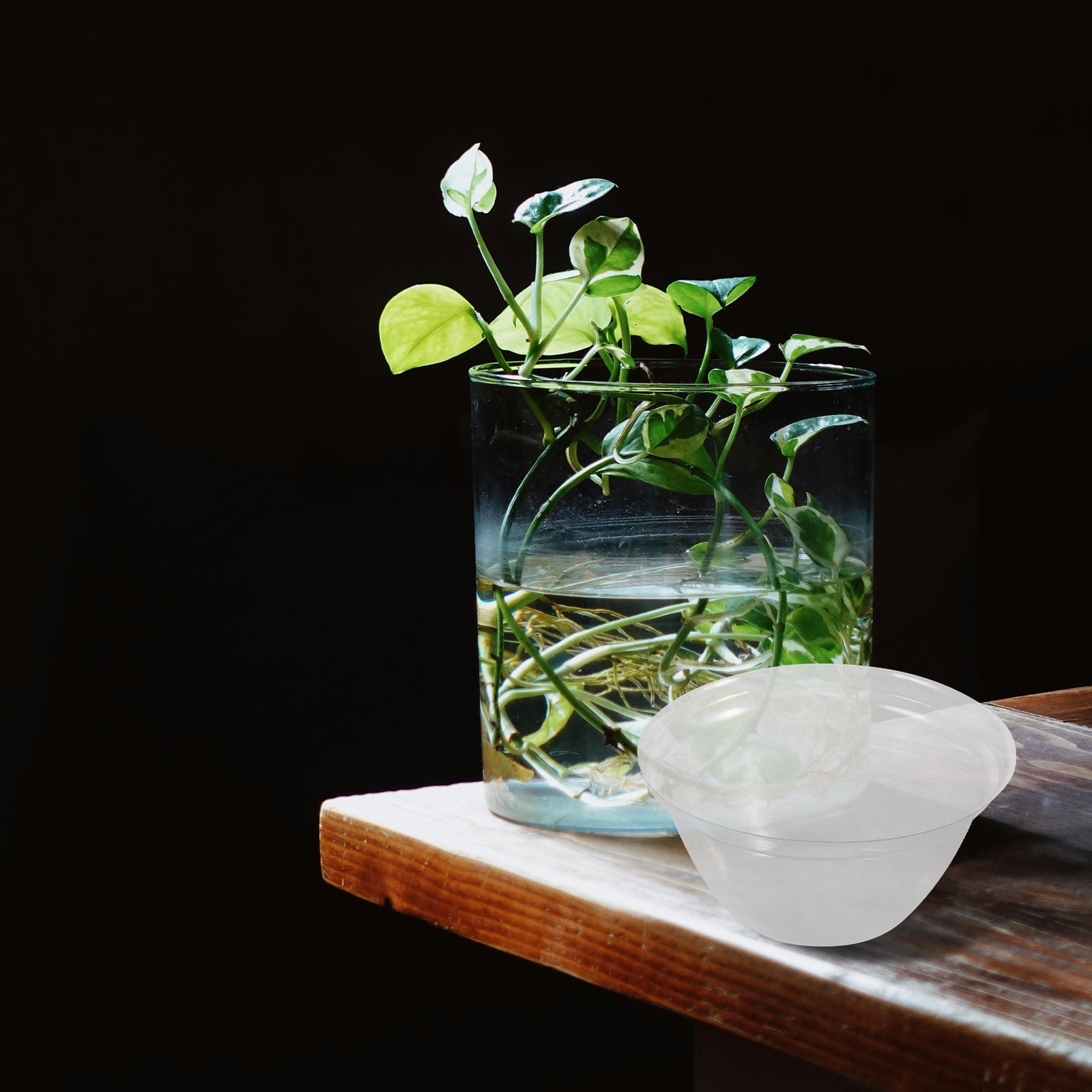 Masteelf 100pcs Transparent Sprout Domes Hydroponic Planting Basket ...