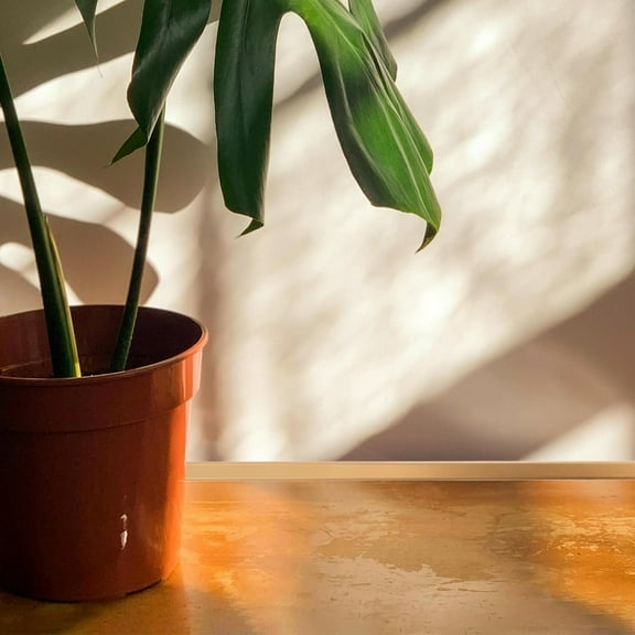 Masteelf 10pcs Wall Corner Protector Peel and Stick Moldings for Edge Trim and Corner Guard