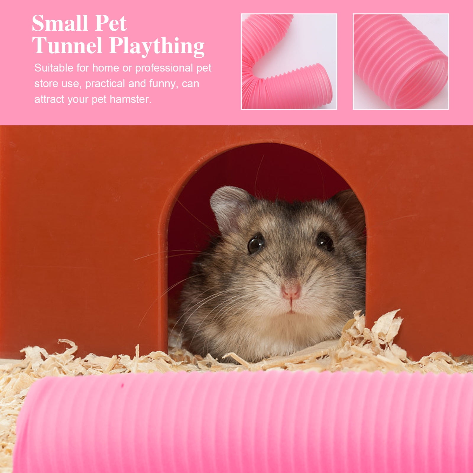 Beautiful view of Foldable Hamster Storage Solutions