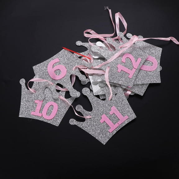 Masteelf 1st Birthday Bunting Banner Garland Baby Monthly Milestone Photo Prop (Pink Numbers without Photos)