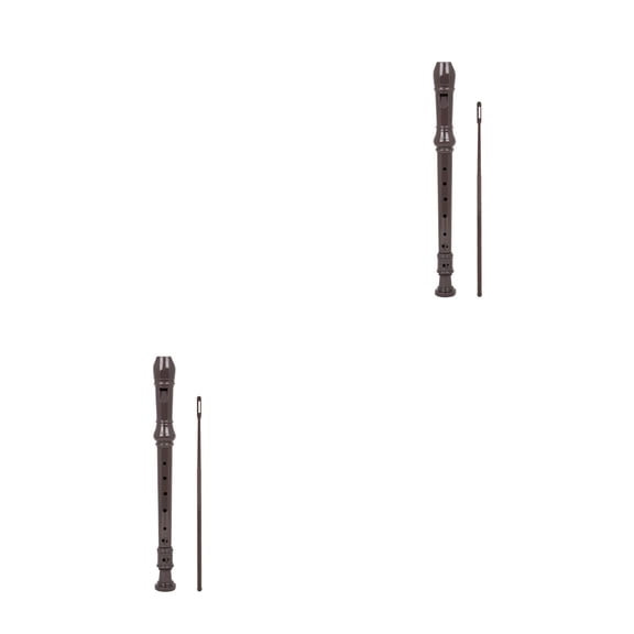 Masteelf 2-Pack ABS Flute Musical Toys with Cleaning Rods, Practical Instrument Set in Coffee Color for Kids