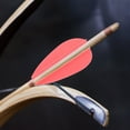 thumbnail image 1 of Masteelf  20 Pcs Arrow Vanes Archery Accessories Small Fletchings Red, 1 of 8