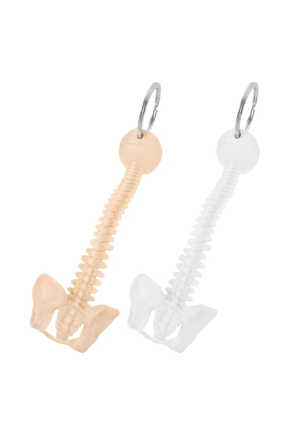 2PCS Human Spine Keychain Ring Mini Teaching Display Model Biology Classroom Study Tools For Doctor Ring Present